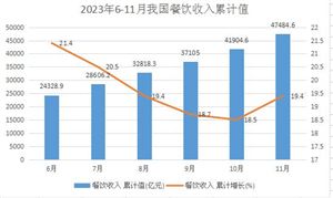 2024年我国新能源汽车行业发展如何？新能源汽车发展将进入深度调整期(图13)