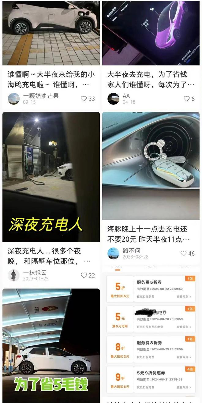 充电桩刺客成功逼疯一批新能源车主(图4)