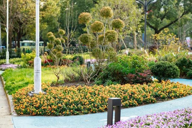 全市首个新能源汽车充电桩全覆盖居民区就在杨浦这个街道(图10)