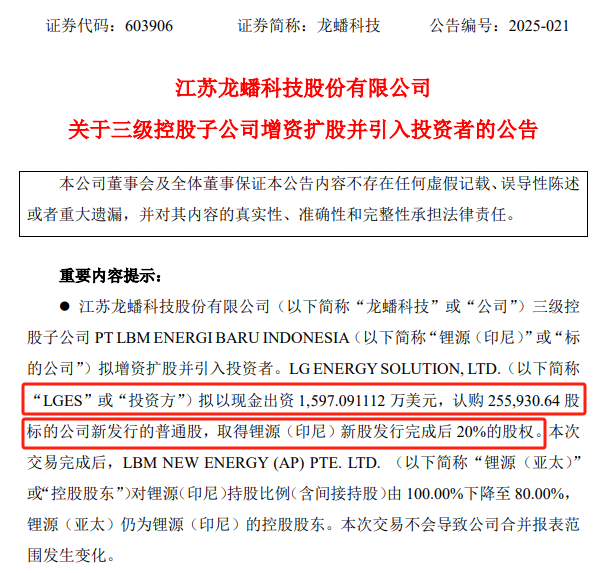 LG新能源入股中国锂电企业
