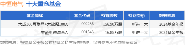 3月13日中恒电气跌591%大成360互联网+大数据100A基金重仓该股