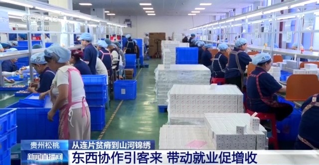 穷山沟→“金窝窝”解锁集中连片特困地区的“新生密码”(图3)
