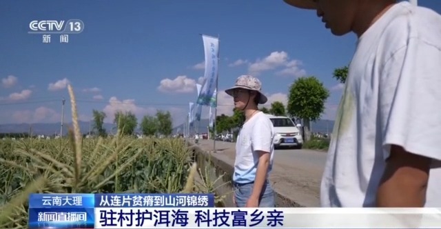 穷山沟→“金窝窝”解锁集中连片特困地区的“新生密码”(图7)
