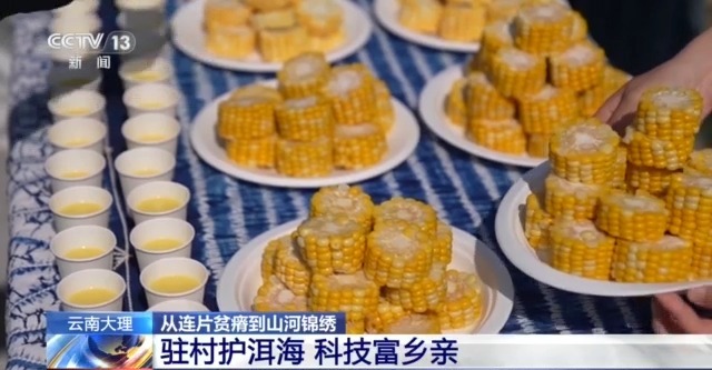 穷山沟→“金窝窝”解锁集中连片特困地区的“新生密码”(图8)