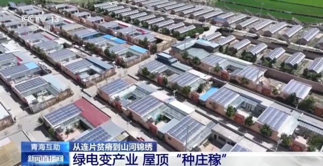 穷山沟→“金窝窝”解锁集中连片特困地区的“新生密码”(图19)