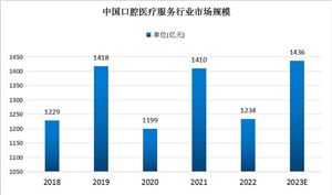 2024年我国新能源汽车行业发展如何？新能源汽车发展将进入深度调整期(图8)