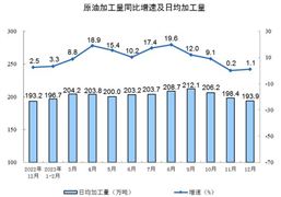 2024年我国新能源汽车行业发展如何？新能源汽车发展将进入深度调整期(图10)