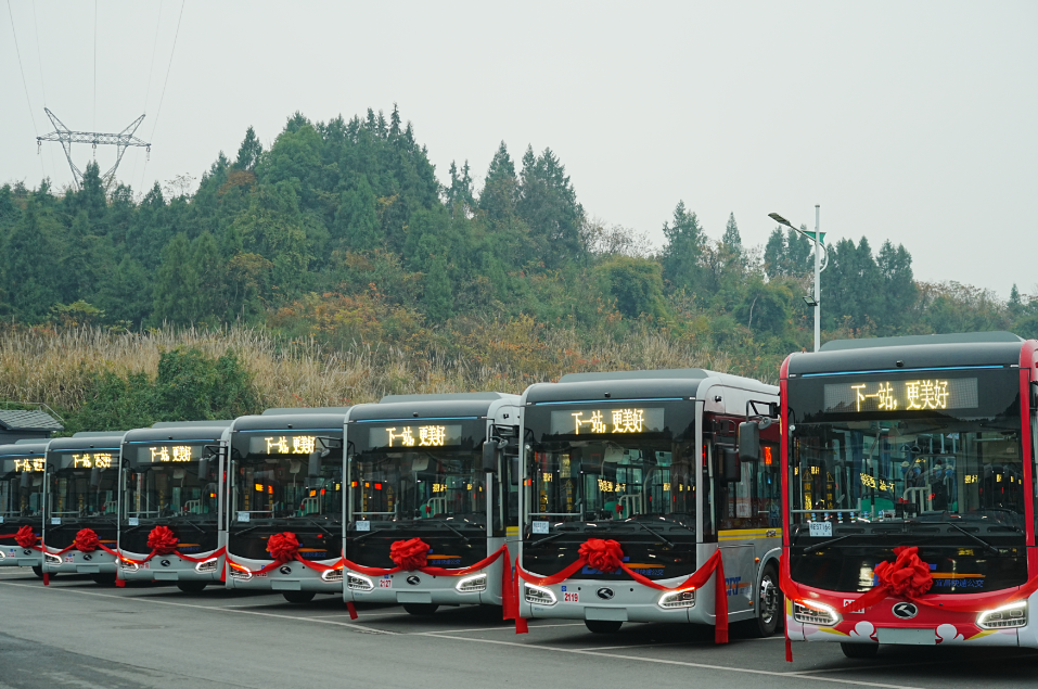 逐“绿”而动向“新”而行——宜昌新能源交通多场景融合成趋势