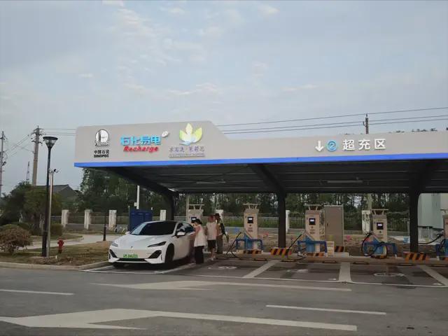 他们使出了九牛二虎之力“电动爹”仍靠打架抢高速充电桩(图7)