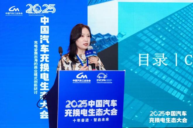 【深度报道】为出海“续航”：充电设施的全球生意经(图11)