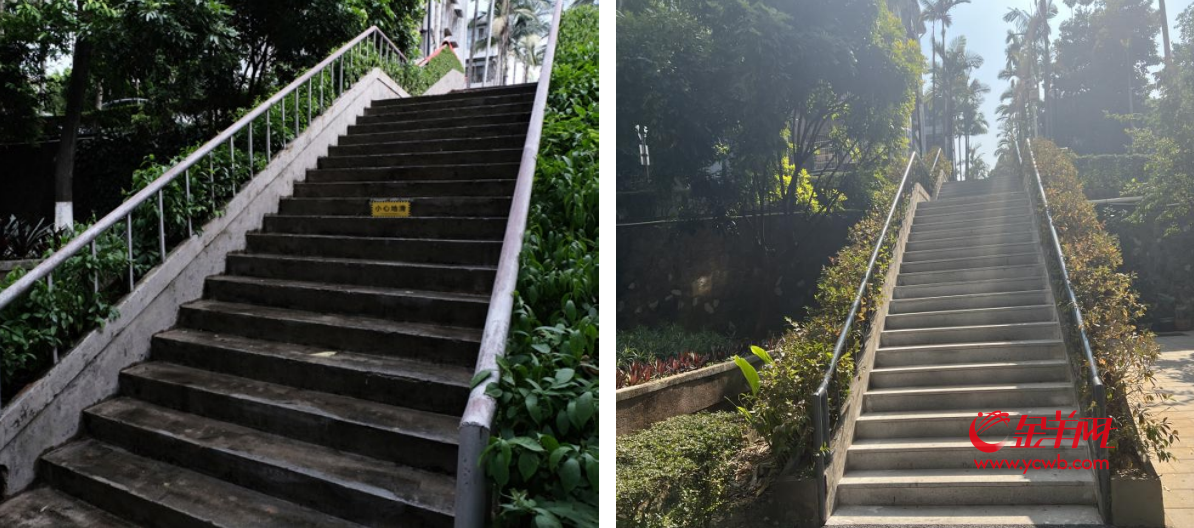 从“老旧小”到“幸福居”！广州老旧小区怎么改造？