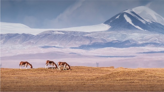 奔驰可持续投入再加码佟欧福：协同供应链实现“零排放”出行愿景(图3)
