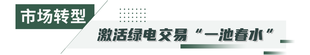 “十四五”国网冀北电力发展成效能源转型篇(图6)