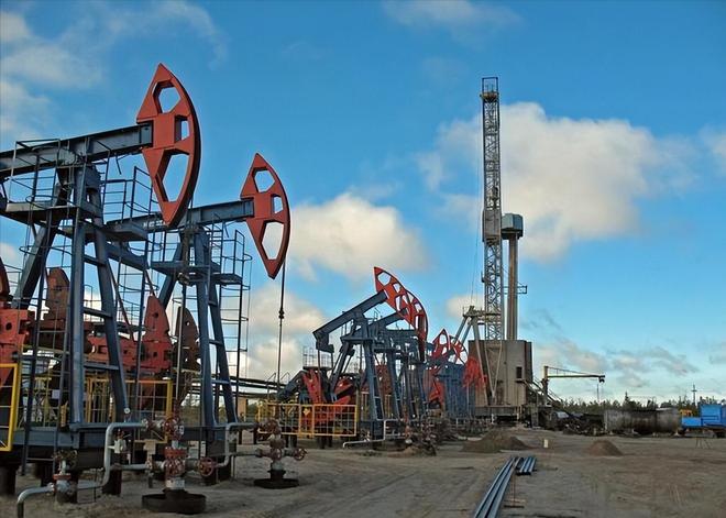 七成石油靠进口每年花费上万亿发展电动汽车的我们没退路(图3)