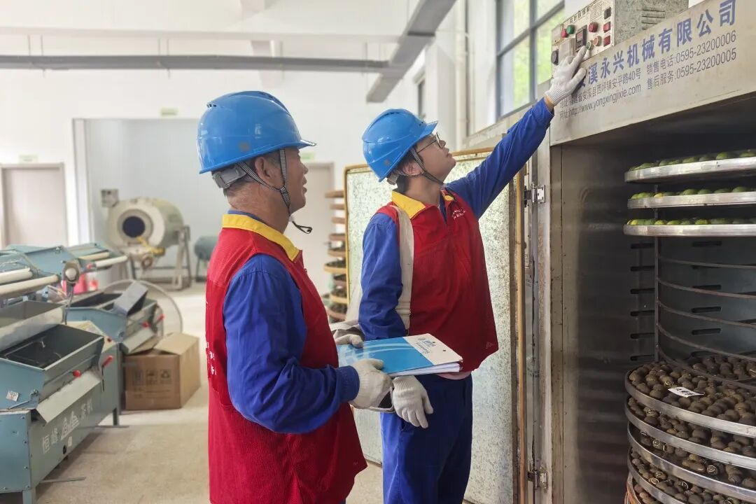 “十四五”杭电答卷丨“电助共富”书写幸福篇章