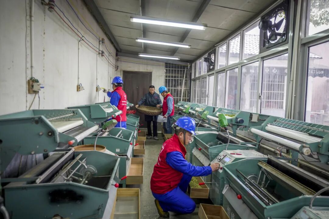 “十四五”杭电答卷丨“电助共富”书写幸福篇章(图3)