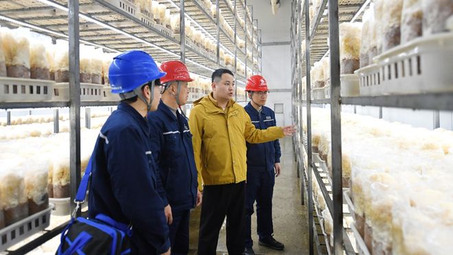 【新华社】电力创新服务赋能乡村振兴(图4)