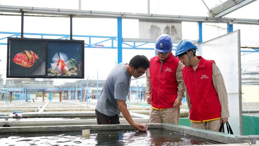 福州：“满格电”激活县域特色产业链电力创新服务赋能乡村振兴-新华网(图2)