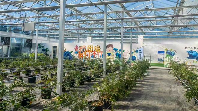 全国首座！村级“风光储充检放”一体化充电站在射阳投运(图4)