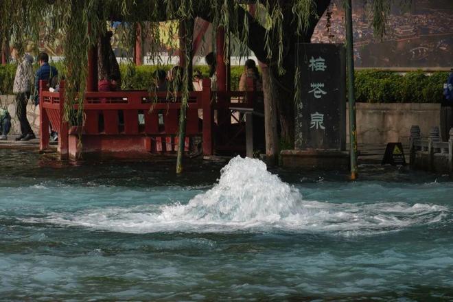 济南城市发展报告出炉：803分跻身全国第五宜居指标仅次于北京(图3)