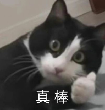 蓝思科技周群飞：“作嫁衣裳者”的自我革命(图3)