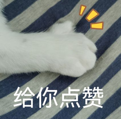 蓝思科技周群飞：“作嫁衣裳者”的自我革命(图6)