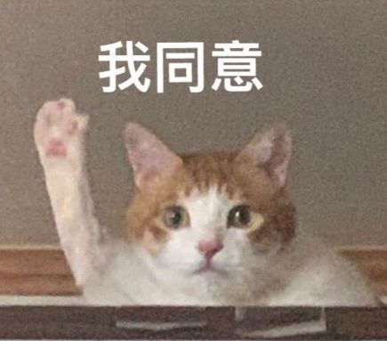 蓝思科技周群飞：“作嫁衣裳者”的自我革命(图9)