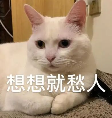 蓝思科技周群飞：“作嫁衣裳者”的自我革命(图10)