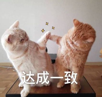 蓝思科技周群飞：“作嫁衣裳者”的自我革命(图11)