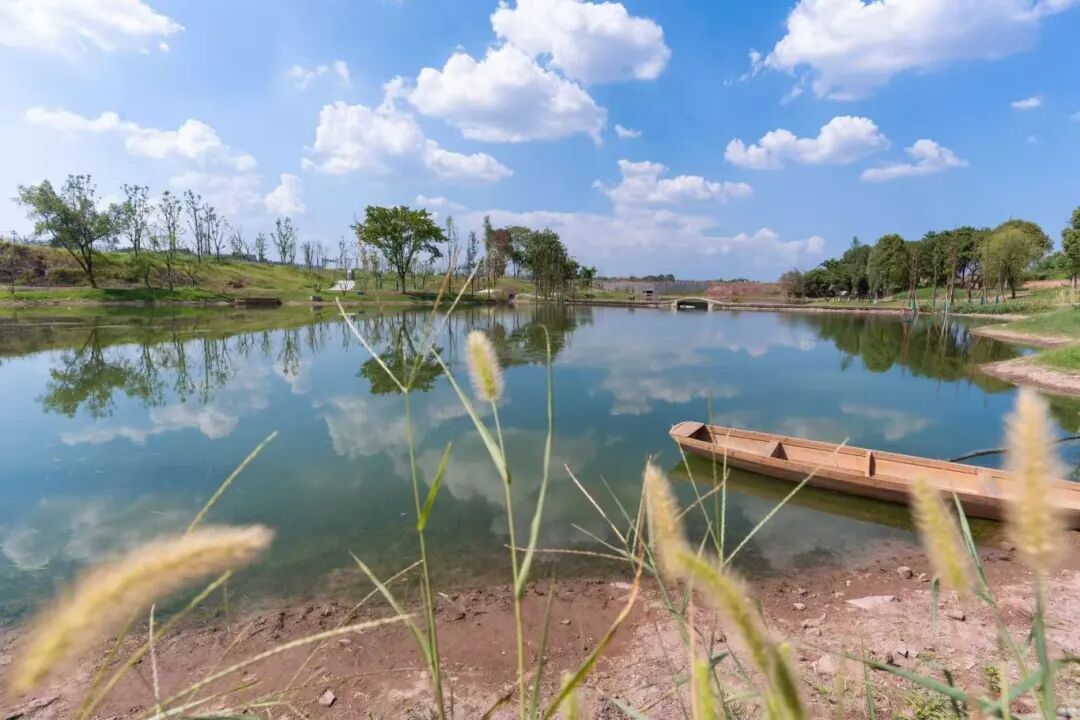 长江经济带高质量发展的“西部科学城重庆高新区答卷”(图4)