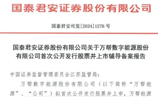 把充电桩卖到全球80后夫妻年入40亿(图11)