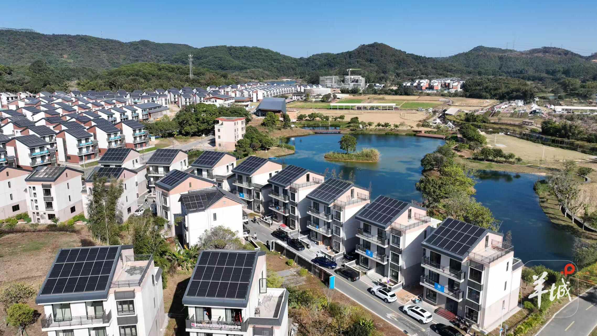 村民乐享“别墅式”生活！广州黄埔“百千万工程”绘就乡村新图景(图3)