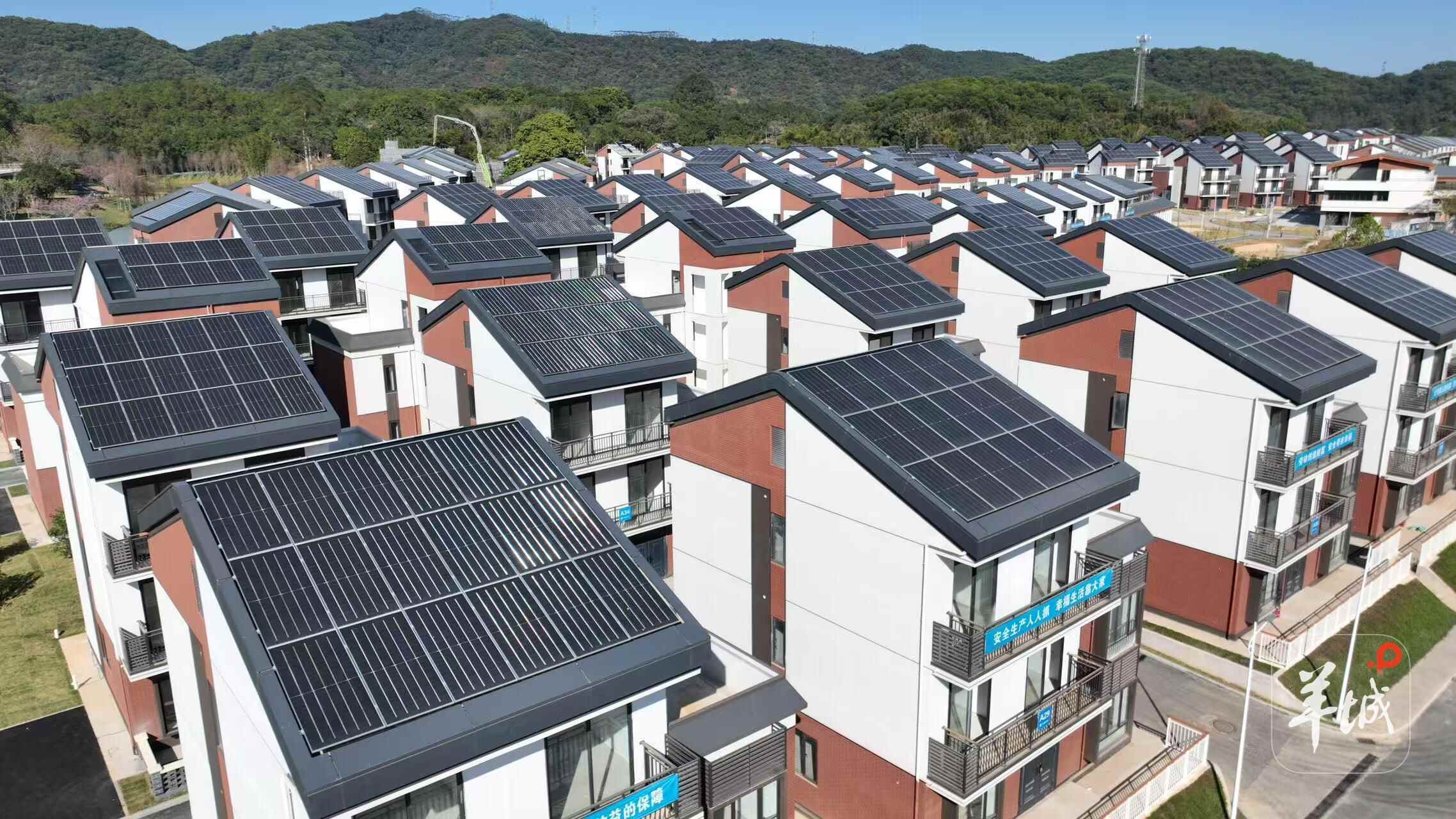 村民乐享“别墅式”生活！广州黄埔“百千万工程”绘就乡村新图景(图2)