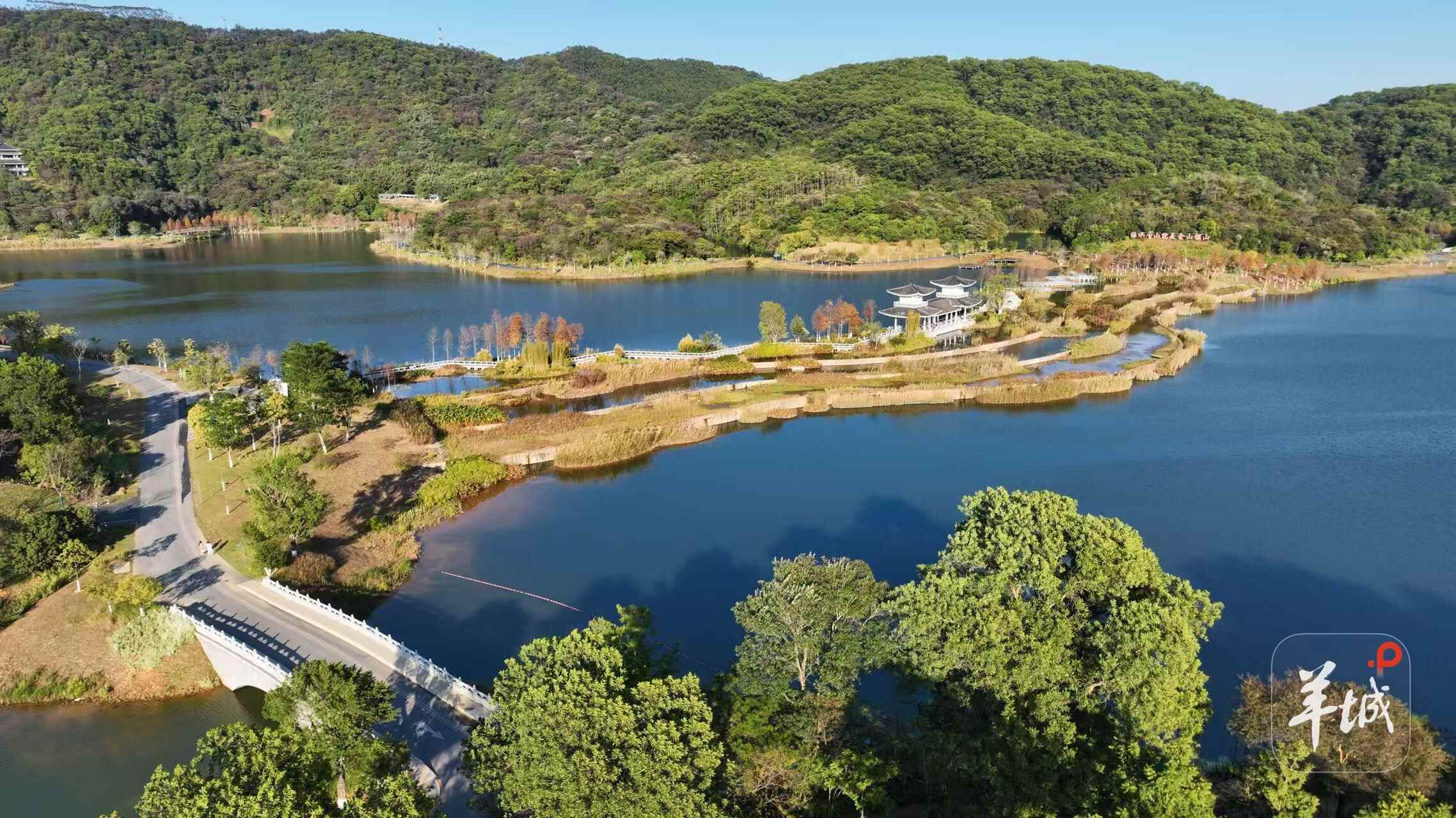 村民乐享“别墅式”生活！广州黄埔“百千万工程”绘就乡村新图景(图7)