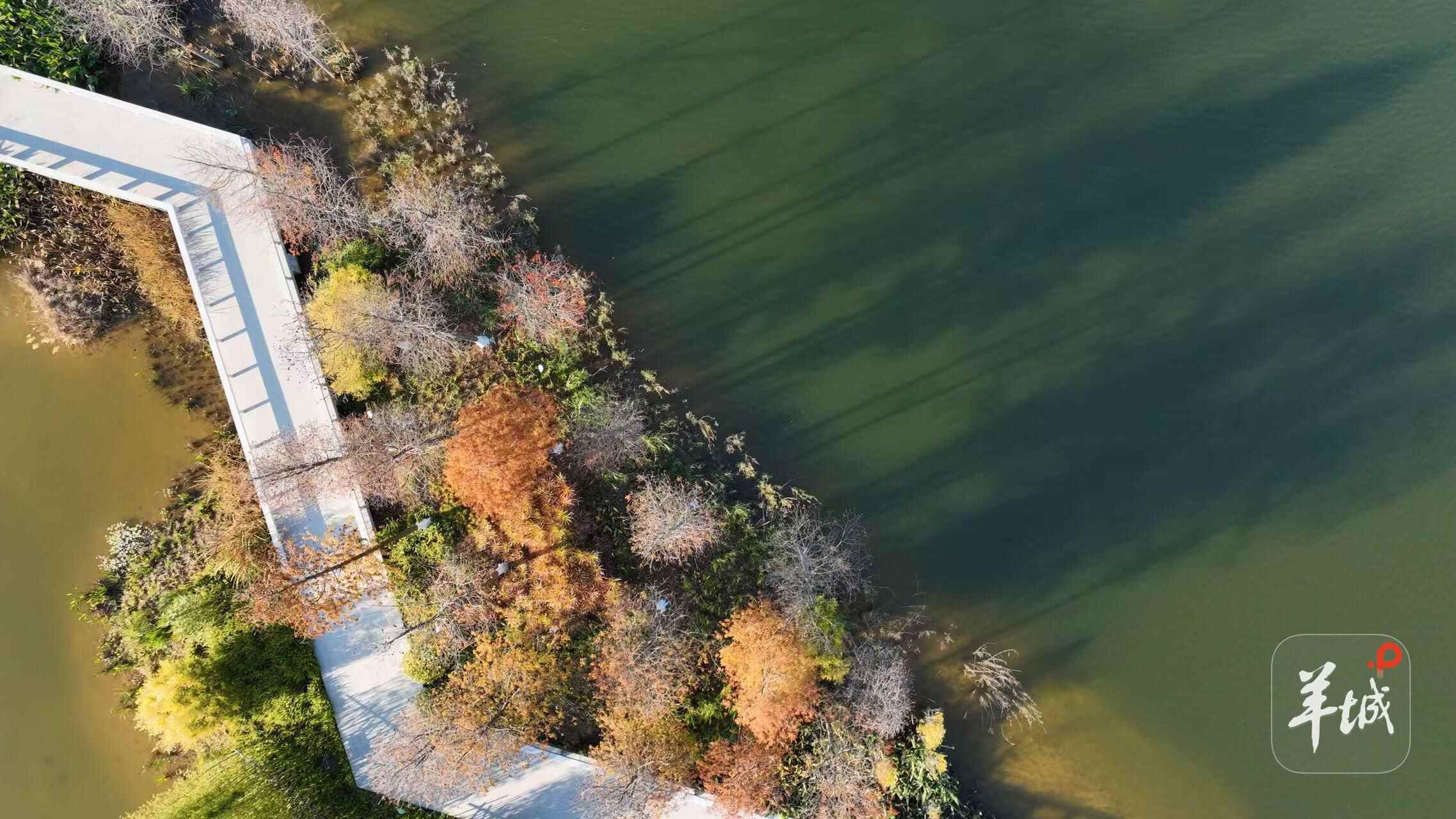 村民乐享“别墅式”生活！广州黄埔“百千万工程”绘就乡村新图景(图8)