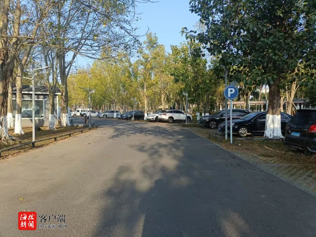 海口：城市公园配套停车场投用破解出行堵点(图2)